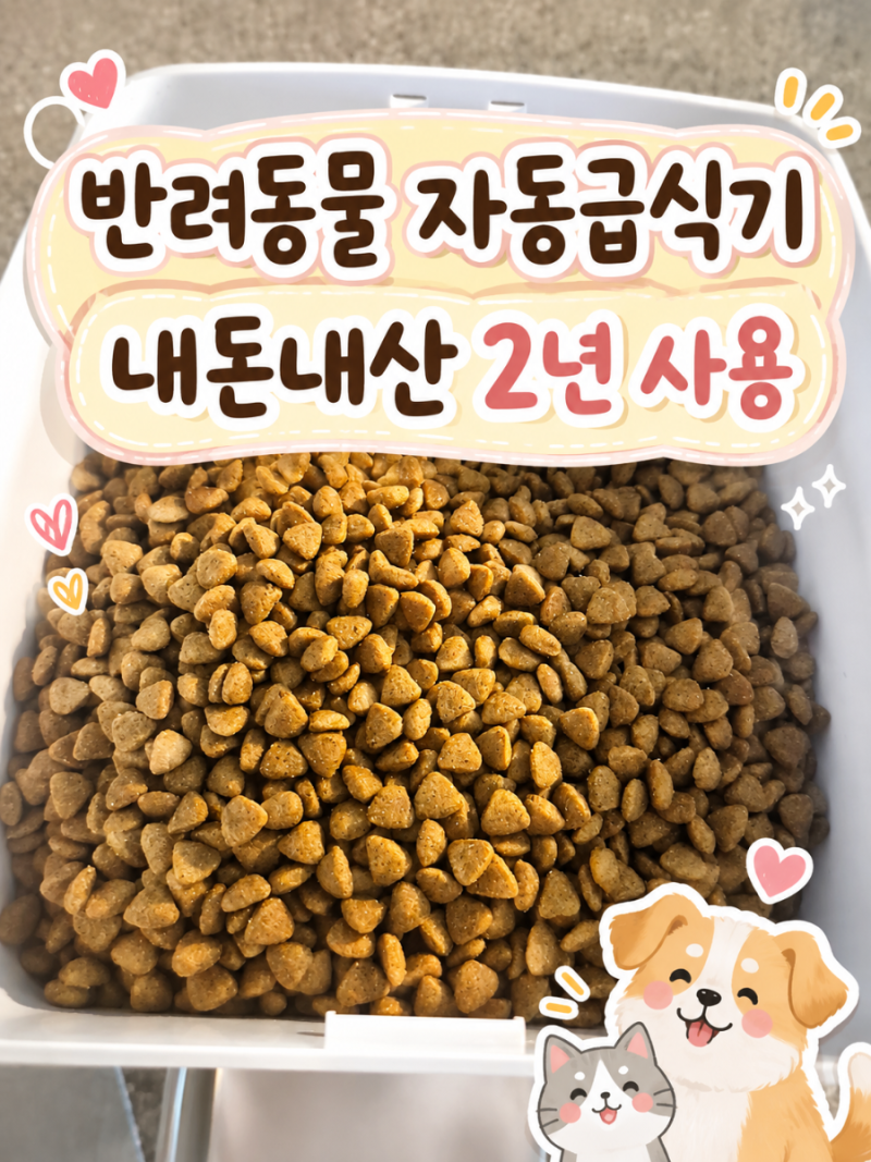 반려동물 자동급식기 디클펫 AT310, 생각보다 가격은 안 비싼데 삶의 질은 확 올라가요｜내돈....