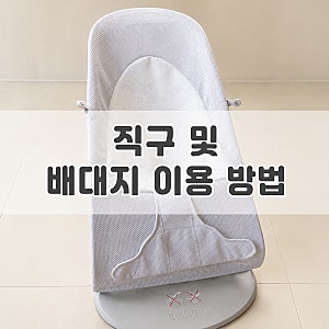 베이비뵨바운서 직배송 불가, 아마존재팬 직구 배대지 이용하는 방법