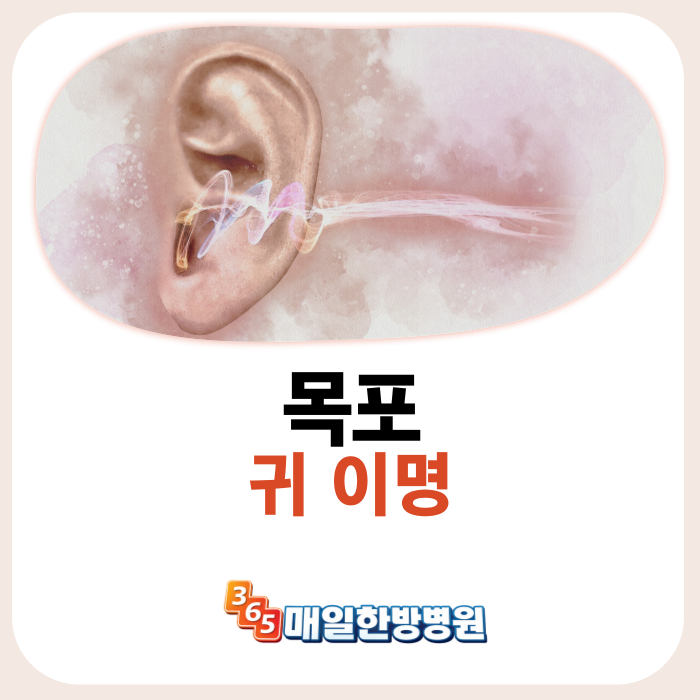 목포이명 귀에이명 귓속이명 귀이명 원인과 치료방법은?