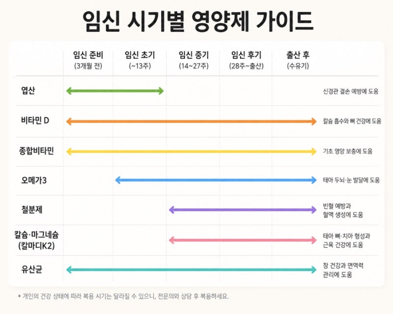 임산부 영양제 내돈내산추천 주수별 꼭 챙겨야 할 영양제 제품 총정리 (feat.프리솔라,닥터에....
