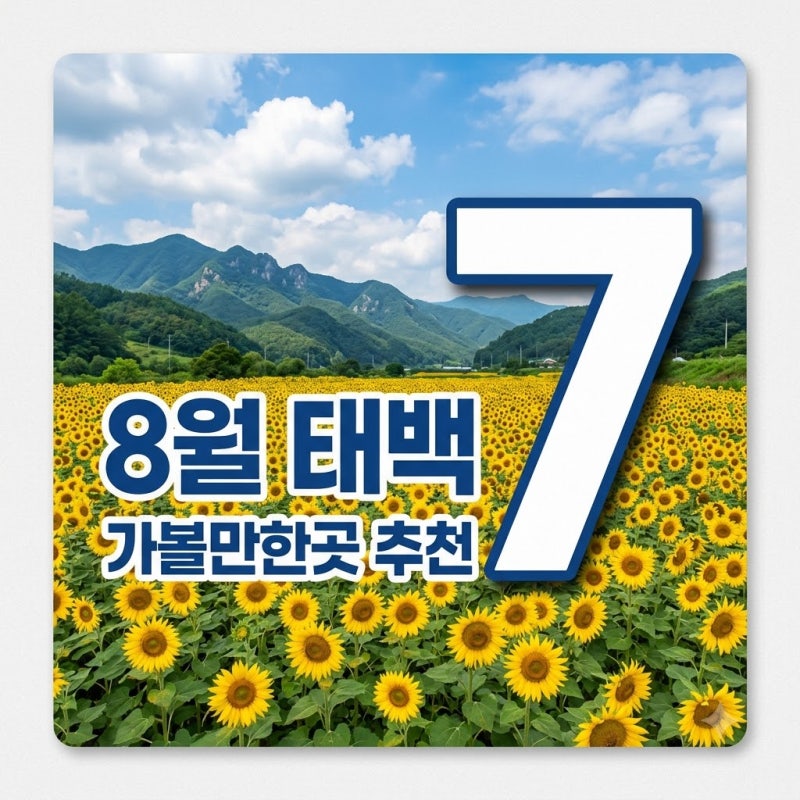 8월 태백 가볼만한곳 BEST 7! 한여름에도 시원한 태백 여행 코스