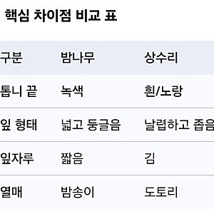 <세상을 아는상식 24>밤나무잎과 상수리나무 잎 차이는?동정(同定)으로 찾는법