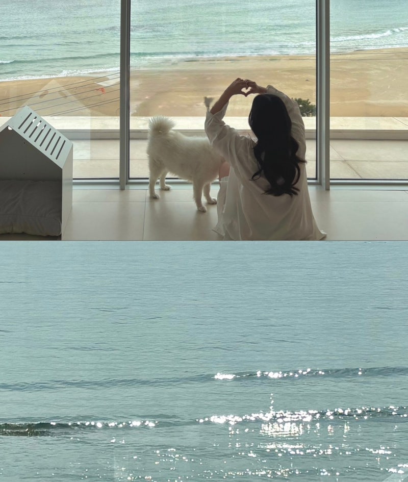 속초 양양 애견동반 오션뷰 숙소 펜션 | 글림풀빌라