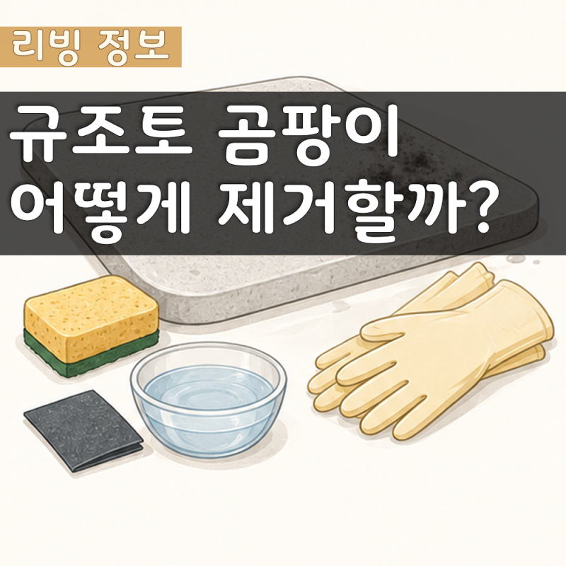 규조토 곰팡이 세척 방법과 교체 기준