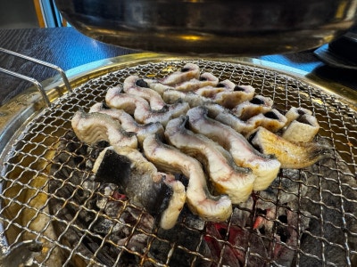 서귀포장어맛집 동홍동 '인생민물장어' 🔥 퇴근 후 동료와 반마리씩 두 번!