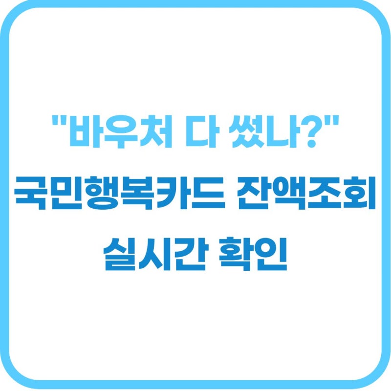 국민행복카드 기저귀 잔액조회 "이번 달 남은 포인트 얼마일까?" 2026 카드사별 앱 및 보건소 ....