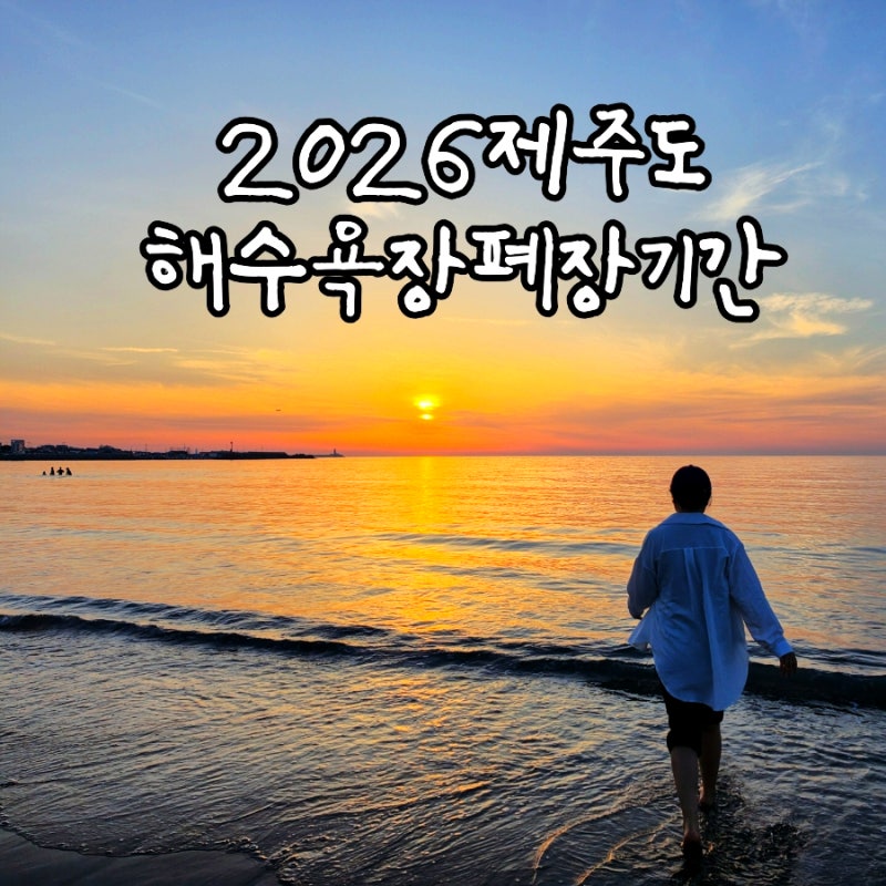 2026 제주도 해수욕장 폐장 언제? 야간개장 시간 총정리 9월 제주 여행 바다 추천