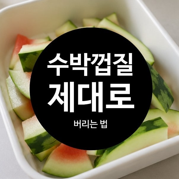수박 껍질 버리는 법, 음식물쓰레기인지 일반쓰레기인지 한 번에 정리