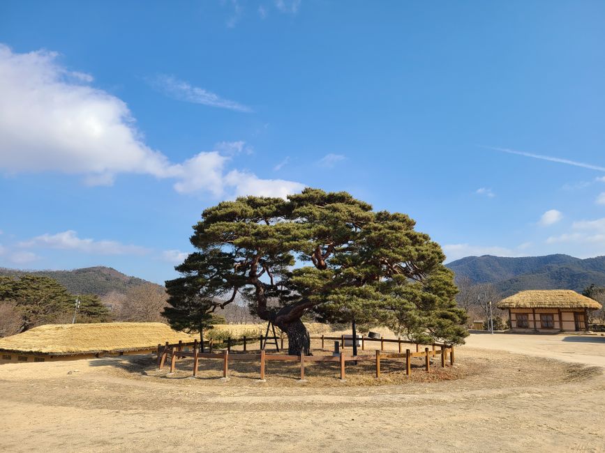 완도수목원 사진 5