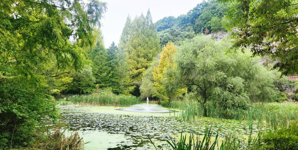 산책 사진 3