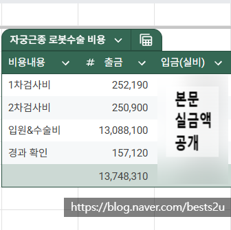 자궁근종 로봇 수술 총 비용과 실비 보험비 후기 (실금액 공개)