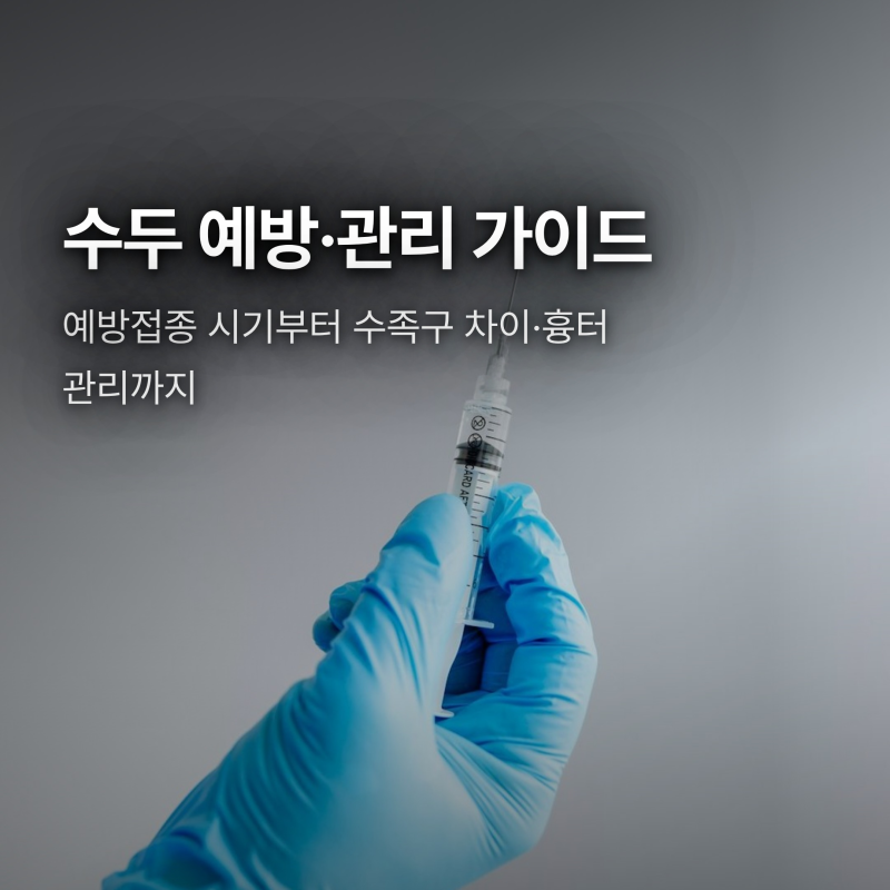 수두 예방접종 시기, 수족구병 차이와 흉터 안 남기는 약·관리법