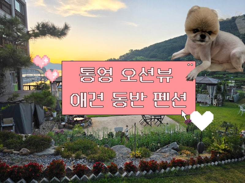 [통영] 애견 동반 가족 펜션, 영운스테이