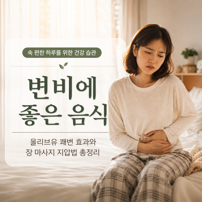 변비에 좋은 음식 및 올리브유 쾌변 효과와 장 마사지 지압법 총정리