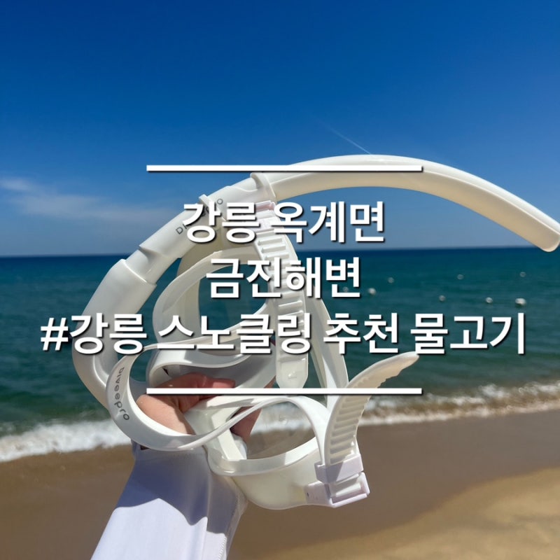 강릉 가볼만한 곳 스노클링 명소 금진해변 옥계해변 부대시설 총정리