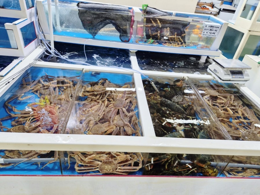 대화식당 사진 6