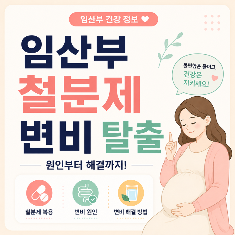 임산부 철분제 변비 탈출 방법! 푸룬주스 장운동 치질에 좋은 음식