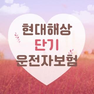 현대해상 단기 운전자보험, 직접 가입해보고 깨달은 핵꿀팁과 솔직 후기