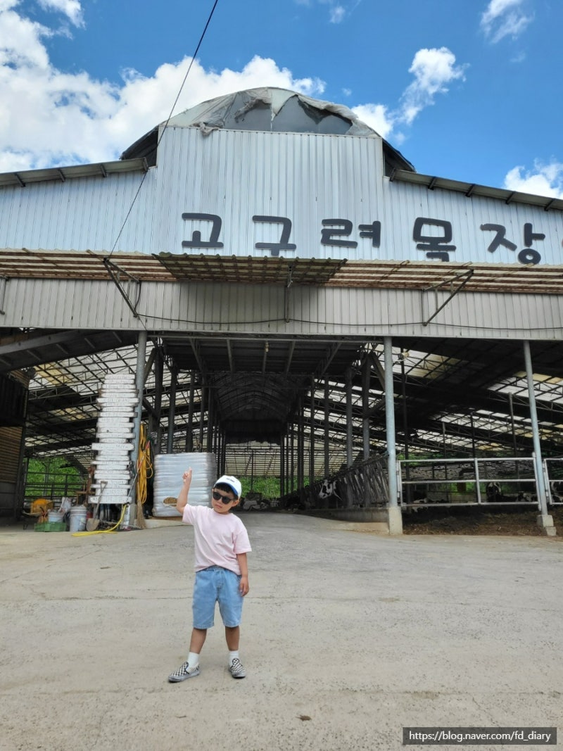 조카랑 파주 목장 체험 고구려목장 솔직 후기