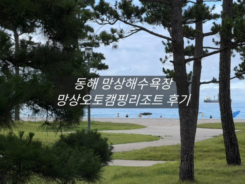 동해 망상오토캠핑리조트 든바다 후기 | 예약, 객실별 오션뷰 비교, 바베큐까지