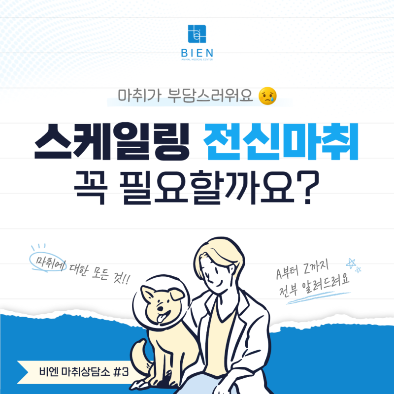 [비엔 마취상담소 #3] 강아지 스케일링, 전신마취가 필요할까요? 마취 깨는 시간은?