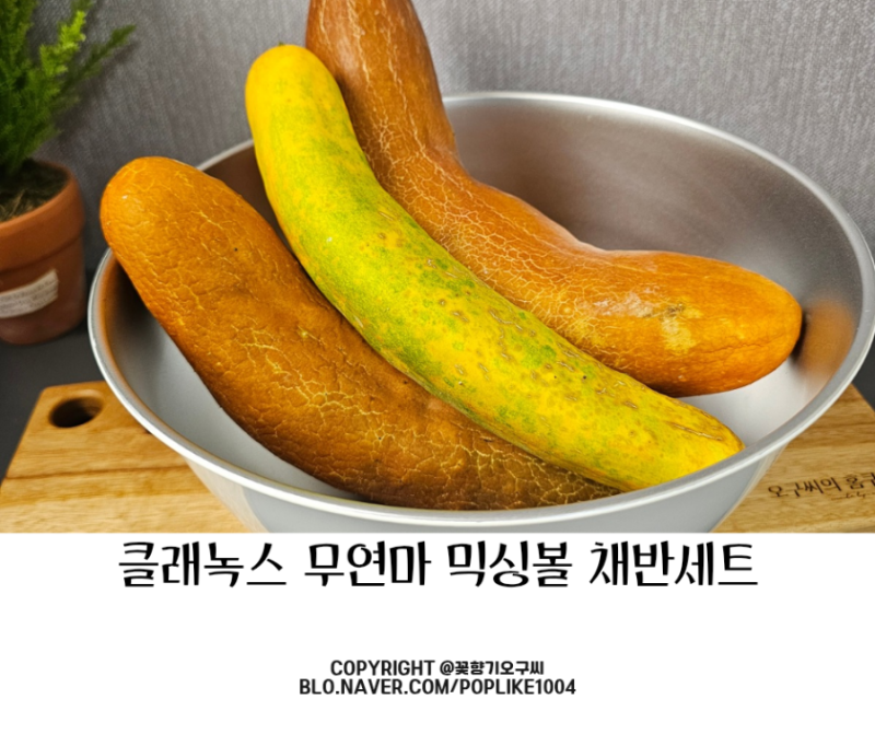 믹싱볼 채반 세트 클래녹스 스테인리스 무연마 바로 사용 간편함이란 이런 것