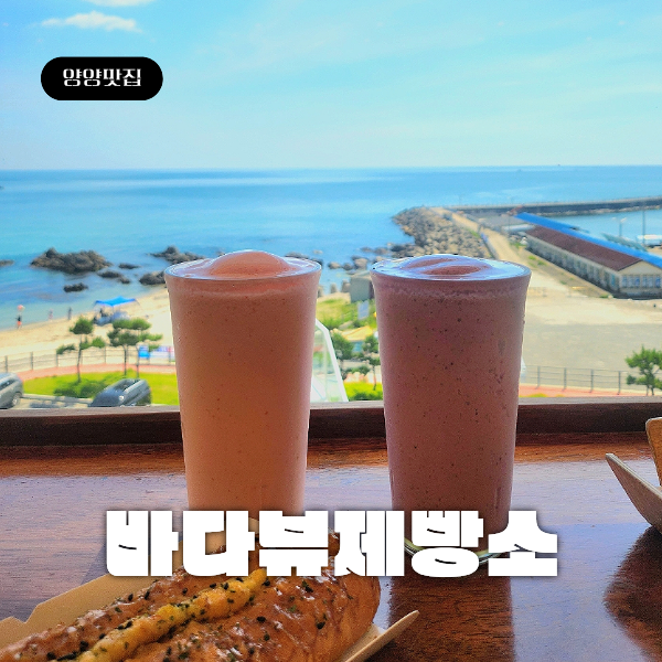 양양 대형카페 '바다뷰제빵소' 설악해변 빵집 오션뷰 베이커리카페