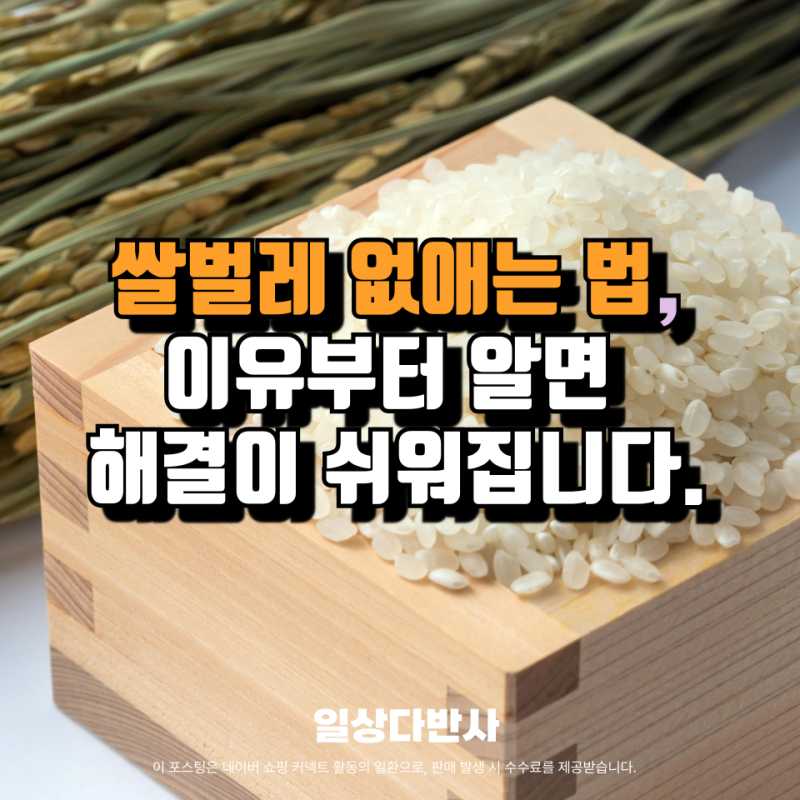 쌀벌레 없애는 법, 원인부터 알아야 진짜 해결됩니다 미락진공쌀통 솔직 후기