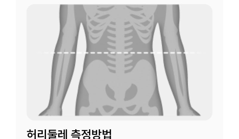 복부지방빼는법 내장지방 줄이는 식단관리 노하우