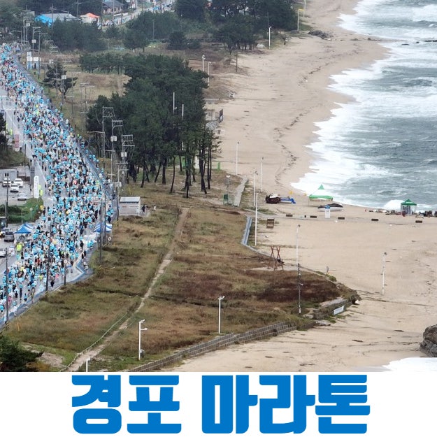 2026 경포마라톤대회 일정·코스·참가비 총정리! 강릉 해안선 달리며 힐링하는 법 (기념품·주....