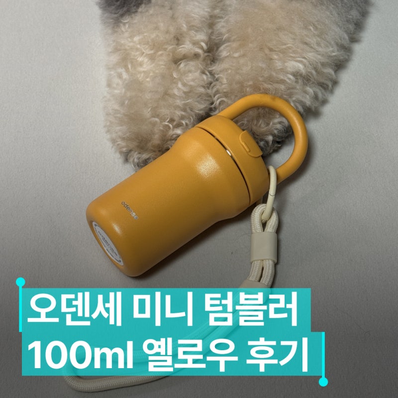 오덴세 미니 텀블러 100ml 투웨이 루프 옐로우 후기 강아지 산책용 물컵으로 딱이네!