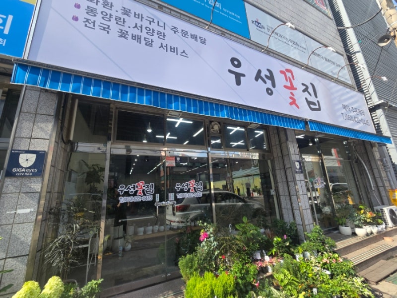 대구 칠성동 꽃시장 꽃집 우성꽃집에서 꽃바구니 2개 주문한 후기