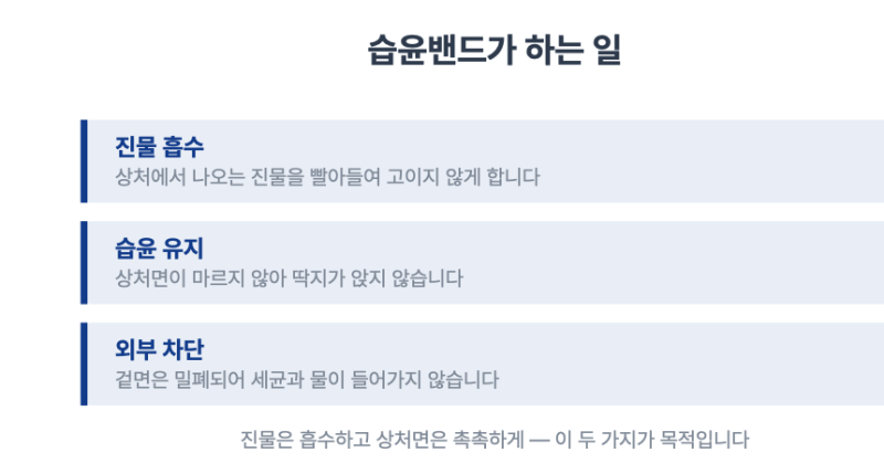 화상 습윤밴드, 언제 붙이고 언제 갈아야 할까요?