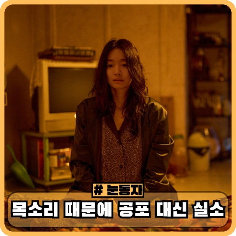 영화 눈동자 정보 결말 해석 관람평 후기 - 목소리 때문에 공포 대신 실소