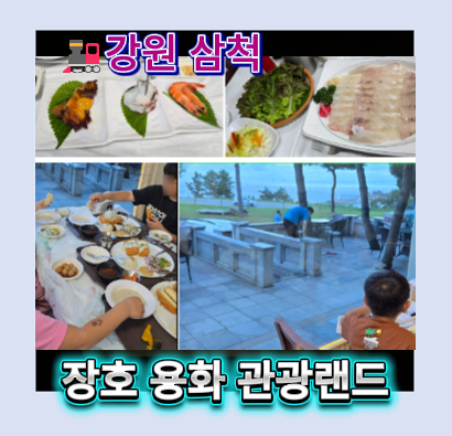 장호항 맛집 장호용화관광랜드 후기｜용화해수욕장 바로 옆, 회부터 돈까스까지 모두 만족....