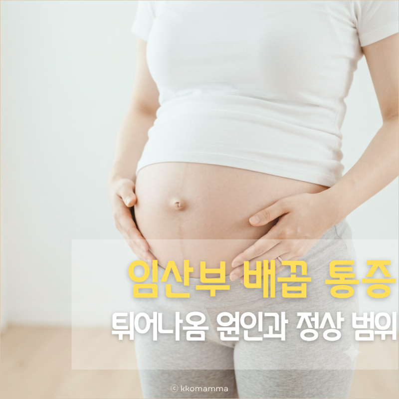 임산부 배꼽 통증과 튀어나옴, 원인과 정상 범위 알아보기