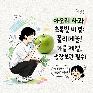 아오리사과가 초록빛인 이유와 제철 시기 보관법까지 정리
