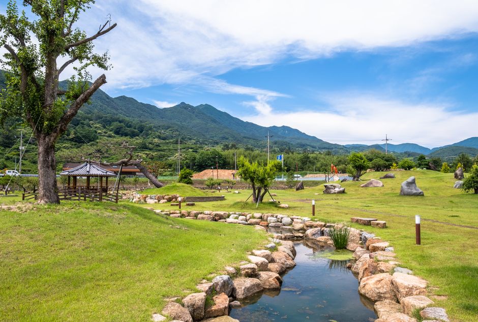 완도수목원 사진 7