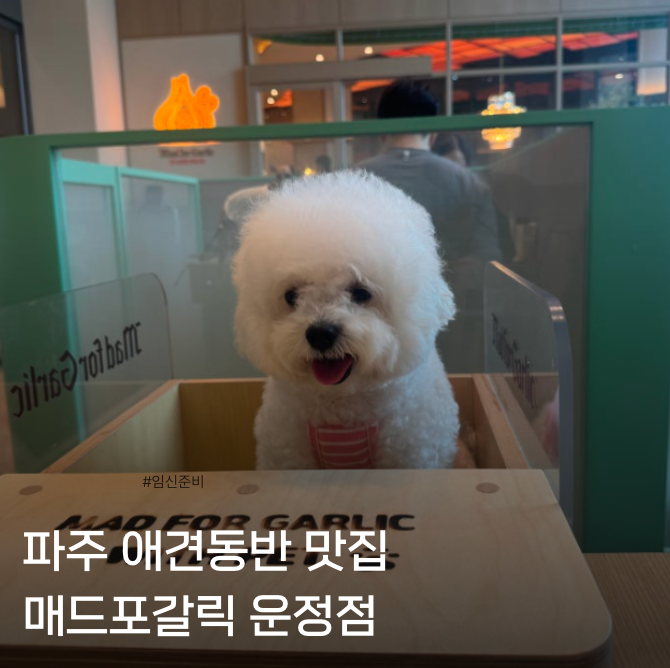 파주 애견동반 맛집 매드포갈릭 운정점｜위드펫존·펫메뉴 후기