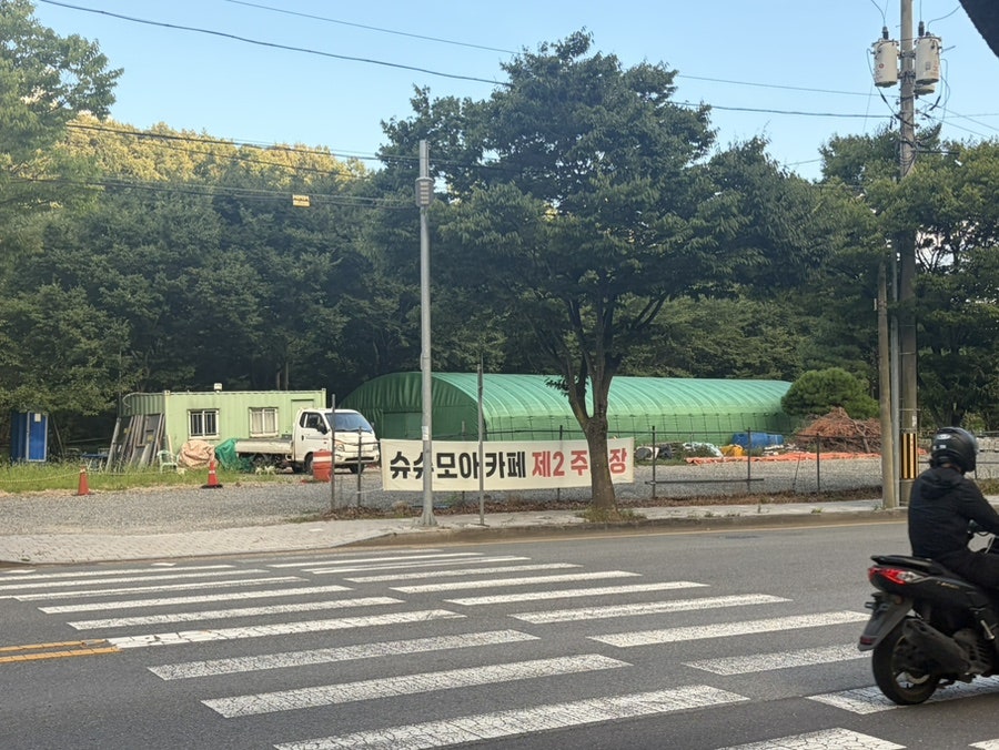 슈슈모아 사진 3