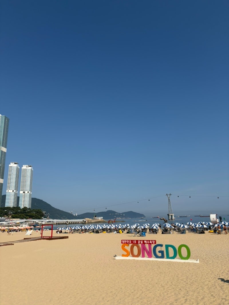 "거기 말고 여기 가세요" 부산 토박이가 픽한 송도해수욕장 (주차장추천/암남공원조개구이집....