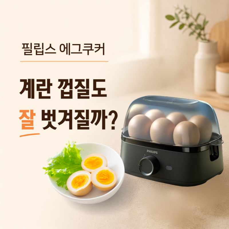 필립스 에그쿠커 HD9137/90 완숙 계란 6개 물양과 열판 식초 세척법