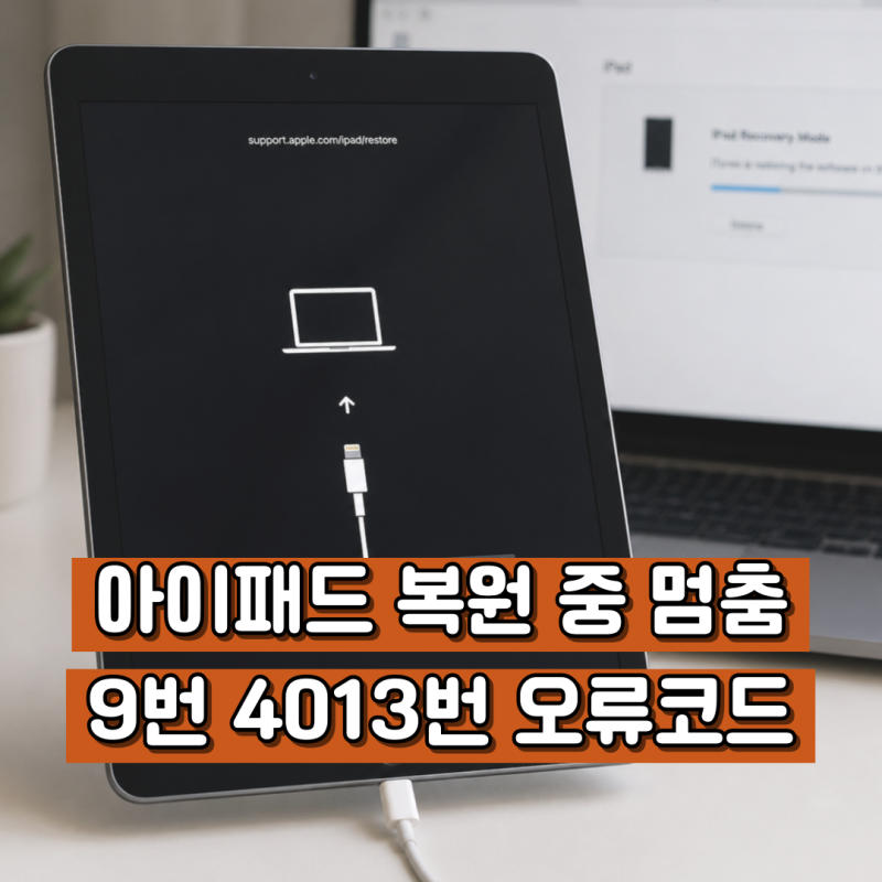 아이패드 DFU 초기화 오류 코드 9번 4013번, 멈췄을 때 확인할 점