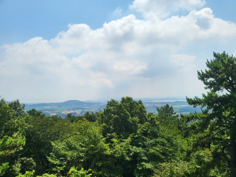 봉대산 사진 5