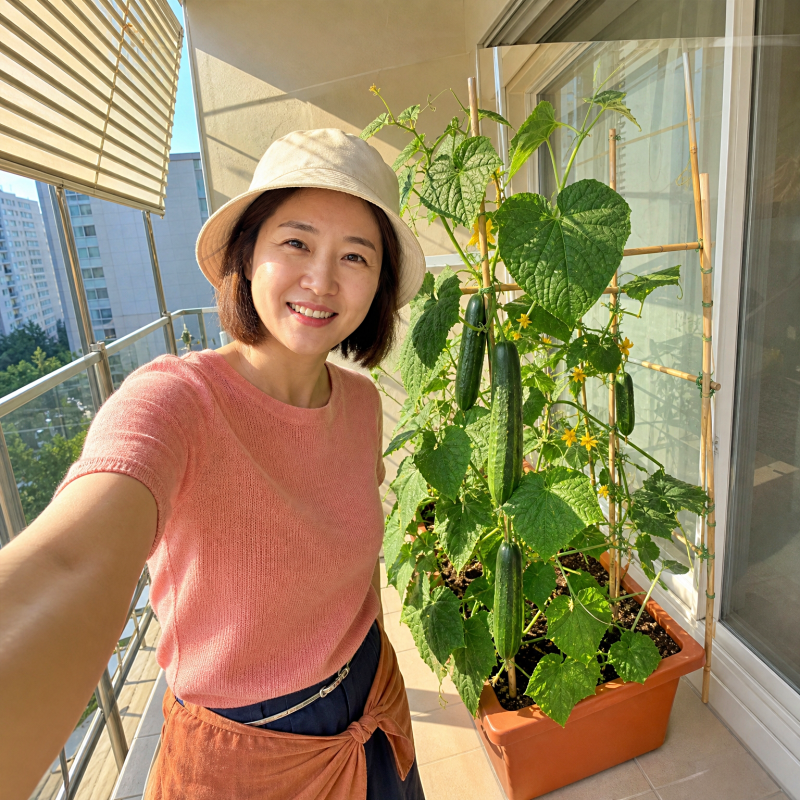 "5마디 아래 꽃 아까워서 안 뗐더니 열매 안 달렸어요" 오이 키우기 방법 순지르기 핵심