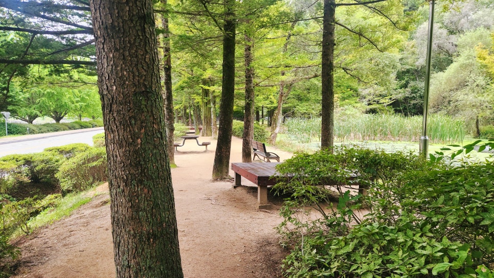 산책 사진 5