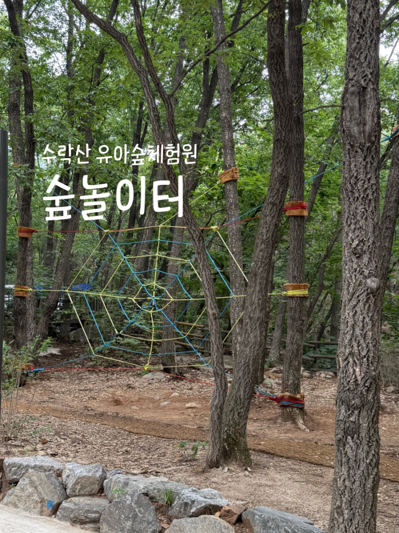 주말마다 찾고 싶은 곳, 수락산 유아숲체험원에서 보낸 하루