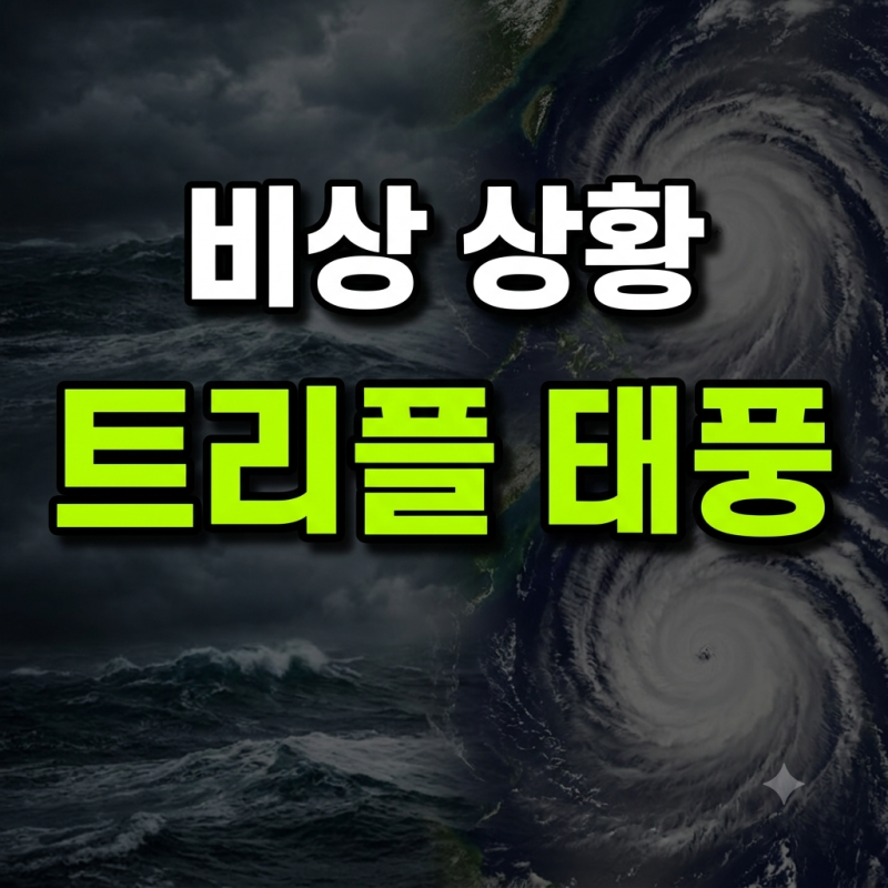 천재지변으로 비행기 결항됐을 때 환불받는 법과 호텔·보험 대처 가이드