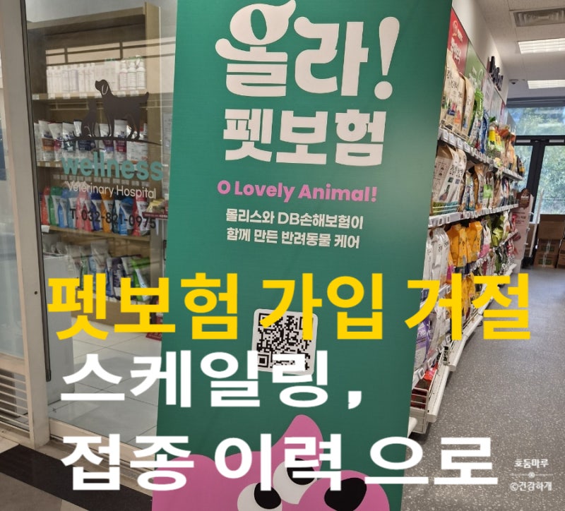 펫보험 가입 거절 사유, 스케일링 이력 하나로 막힌 실화