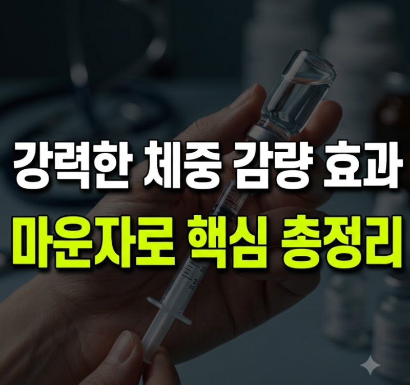 마운자로 효과, 부작용 및 가격(+실비,용량)